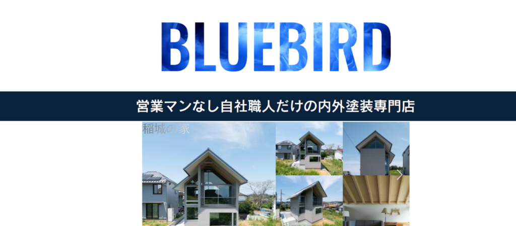 BLUEBIRD